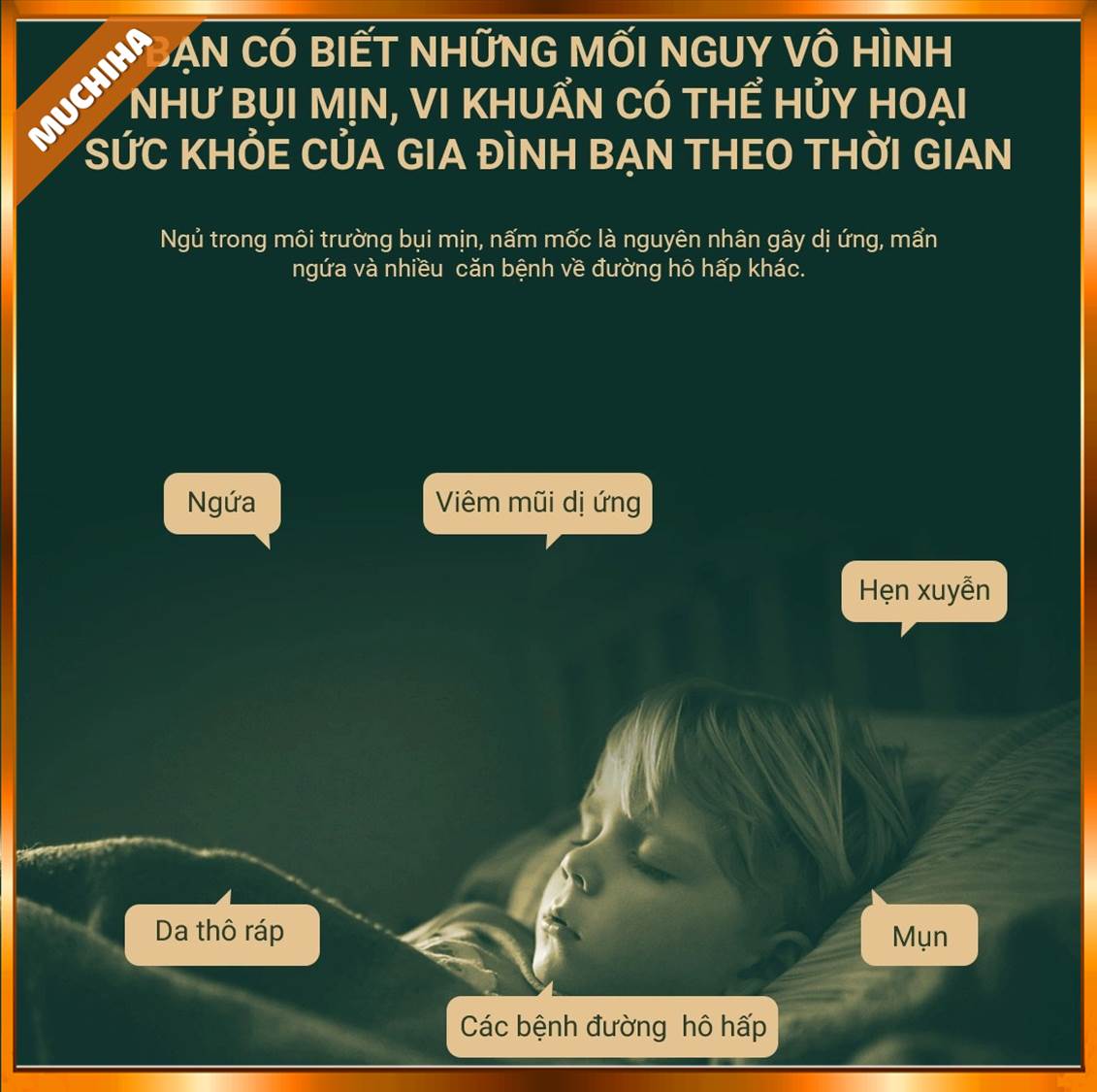 Bụi mịn và vi khuẩn có thể hủy hoại sức khỏe của bạn theo thời gian.