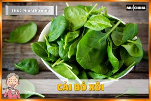 Thức Ăn Bổ Máu - Rau Cải Bó Xôi
