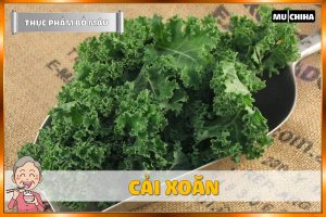 Ăn Gì Bổ Máu? - Cải Xoăn