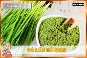 Ăn Gì Bổ Máu? - Cỏ Lúa Mì Non