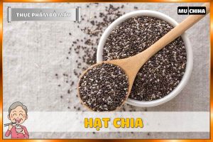 Ăn Gì Bổ Máu? - Hạt Chia