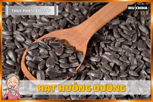Ăn Gì Bổ Máu? - Hạt Hướng Dương