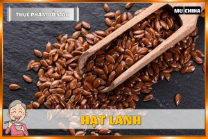 Người Thiếu Máu Nên Bổ Sung Gì - Hạt Lanh