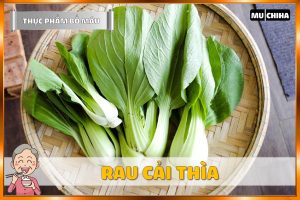 Thực Phẩm Bổ Sung Máu – Rau Cải Thìa
