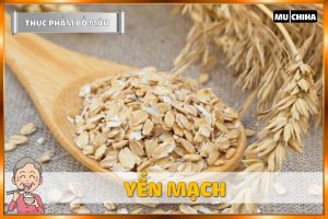 Yến Mạch – Thức Ăn Cho Người Thiếu Máu
