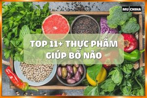 Ăn Gì Bổ Não Tăng Trí Nhớ? 11+ Thực Phẩm Giúp Bổ Não Bạn Không Nên Bỏ Qua