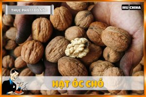Ăn Gì Bổ Não Tăng Trí Nhớ? - Hạt Óc Chó
