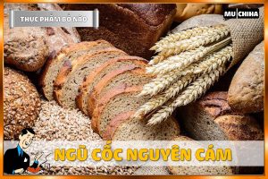 Ăn Gì Bổ Não Tăng Trí Nhớ? - Ngũ Cốc Nguyên Cám