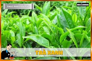 Ăn Gì Bổ Não Tăng Trí Nhớ? - Trà Xanh