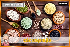 Ăn Gì Dễ Ngủ? Top 19+ Thực Phẩm Giúp Dễ Ngủ Và Ngủ Ngon Hơn Mà Bạn Nên Biết 8 Ăn Gì Dễ Ngủ? - Các Loại Đậu