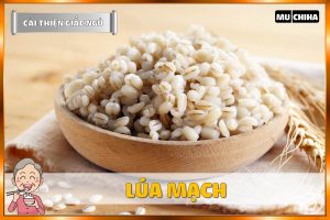 Ăn Gì Dễ Ngủ? Top 19+ Thực Phẩm Giúp Dễ Ngủ Và Ngủ Ngon Hơn Mà Bạn Nên Biết 15 Ăn Gì Dễ Ngủ - Lúa Mạch