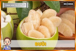 Ăn Gì Để Tăng Nội Tiết Tố Nữ? - Bưởi