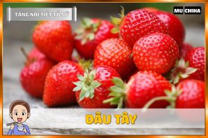 Ăn Gì Để Tăng Nội Tiết Tố Nữ? - Dâu Tây
