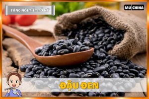 Ăn Gì Để Tăng Nội Tiết Tố Nữ? - Đậu Đen