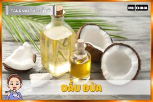 Ăn Gì Để Tăng Nội Tiết Tố Nữ? - Dầu Dừa