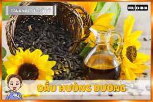 Ăn Gì Để Tăng Nội Tiết Tố Nữ? - Dầu Hướng Dương