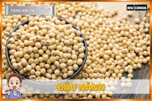 Ăn Gì Để Tăng Nội Tiết Tố Nữ? - Đậu Nành
