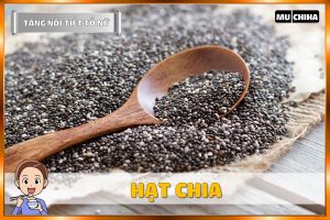 Ăn Gì Để Tăng Nội Tiết Tố Nữ? - Hạt Chia