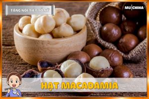 Ăn Gì Để Tăng Nội Tiết Tố Nữ? - Hạt Macadamia