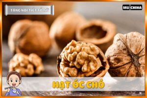 Ăn Gì Để Tăng Nội Tiết Tố Nữ? - Hạt Óc Chó