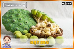 Ăn Gì Để Tăng Nội Tiết Tố Nữ? - Hạt Sen