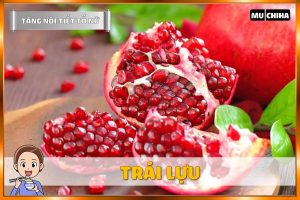 Ăn Gì Để Tăng Nội Tiết Tố Nữ? - Trái Lựu