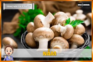Ăn Gì Để Tăng Nội Tiết Tố Nữ? - Nấm