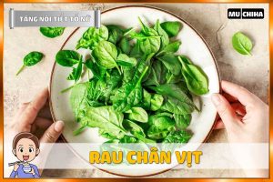 Ăn Gì Để Tăng Nội Tiết Tố Nữ? - Rau Chân Vịt