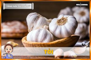 Ăn Gì Để Tăng Nội Tiết Tố Nữ? - Tỏi