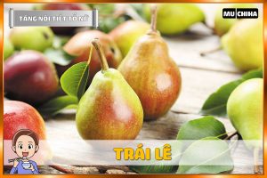 Ăn Gì Để Tăng Nội Tiết Tố Nữ? - Lê