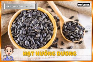 Ăn Gì Đẹp Da Chống Lão Hóa? - Hạt Hướng Dương