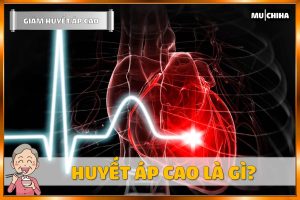 Ăn Uống Gì Để Hạ Huyết Áp Nhanh? 17+ Thực Phẩm Giúp Giảm Huyết Áp Cao Quen Thuộc 2 Huyết Áp Cao Là Gì?