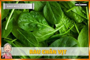 Ăn Uống Gì Để Hạ Huyết Áp Nhanh? 17+ Thực Phẩm Giúp Giảm Huyết Áp Cao Quen Thuộc 5 Ăn Uống Gì Để Hạ Huyết Áp Nhanh? - Rau Chân Vịt
