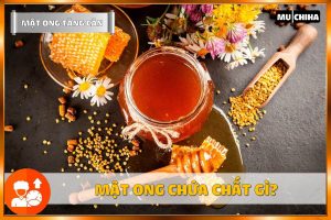 Mật Ong Chứa Chất Gì
