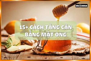 15+ Cách Tăng Cân Bằng Mật Ong Hiệu Quả Và An Toàn Ngay Tại Nhà