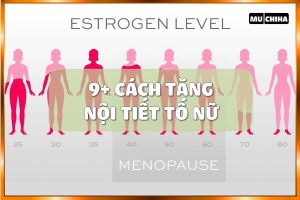 9+ Cách Tăng Nội Tiết Tố Nữ Tự Nhiên