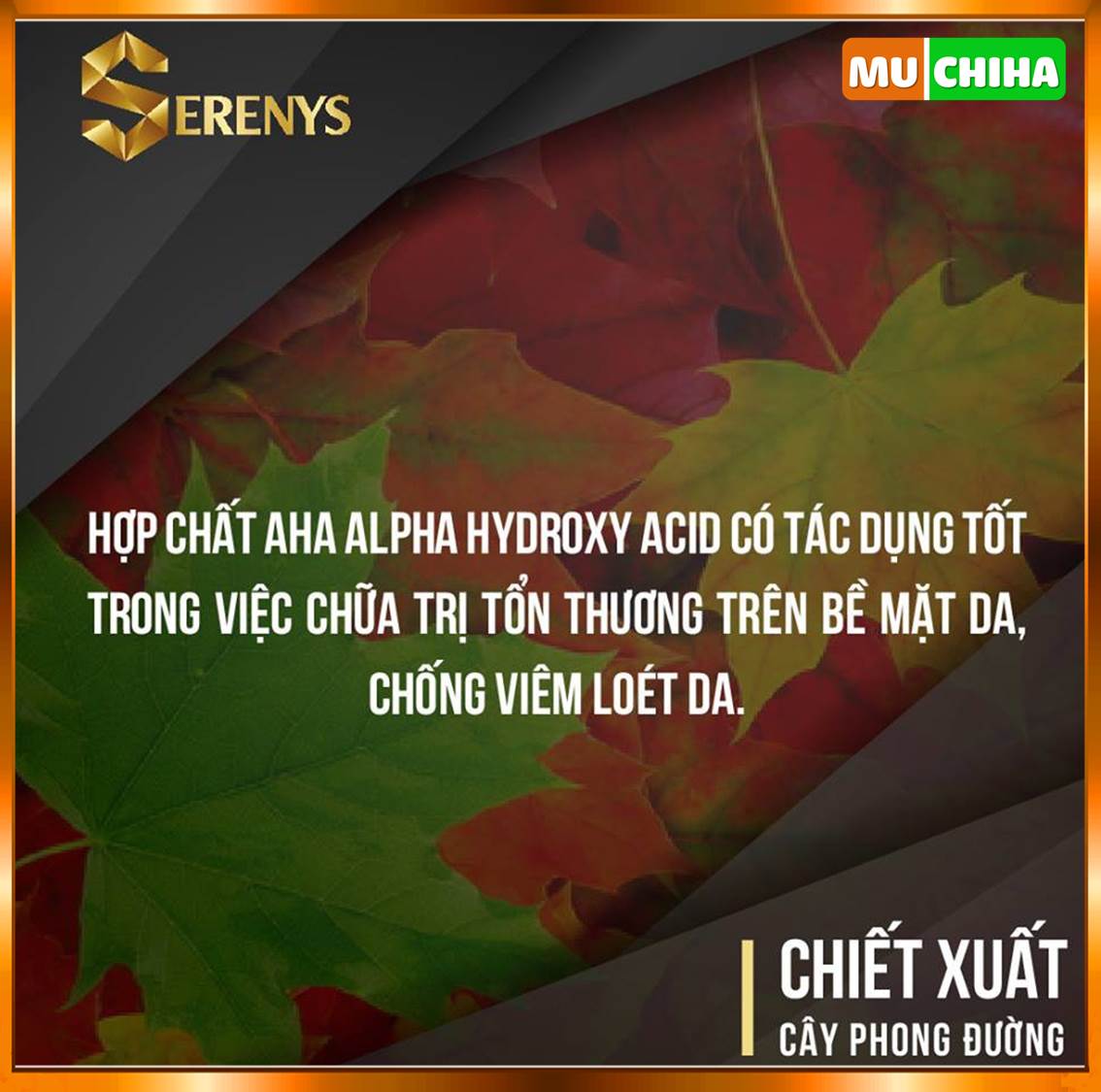 Dung Dịch Vệ Sinh Nam Serenys Chính Hãng, Serenys 110ml Khử Mùi, Làm Sạch Vùng Kín Cho Nam 13 Thành phần của Dung dịch vệ sinh nam Serenys - Cây Phong Đường
