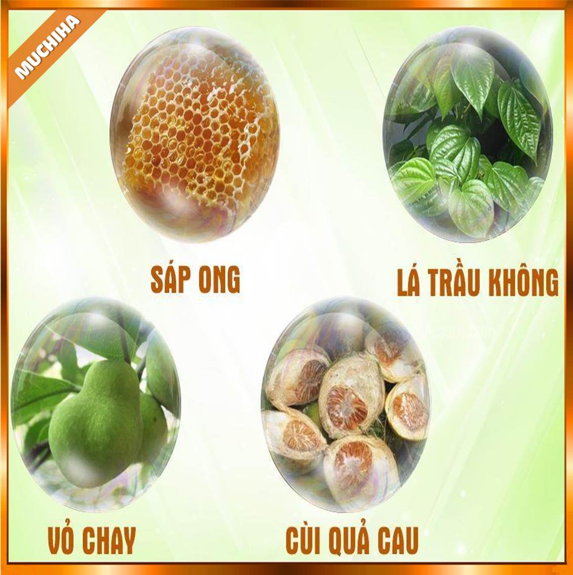 Dung Dịch Nha Khoa Nutridentiz Chính Hãng, Nutridentiz 250ml Bảo Vệ Răng Miệng Toàn Diện 8 Thành phần Dung Dịch Nha Khoa Nutridentiz
