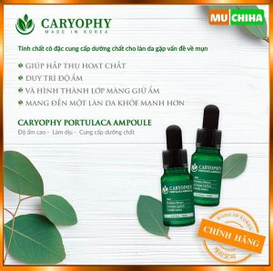 Serum Trị mụn Caryophy mang lại nhiều công dụng và lợi ích cho làn da