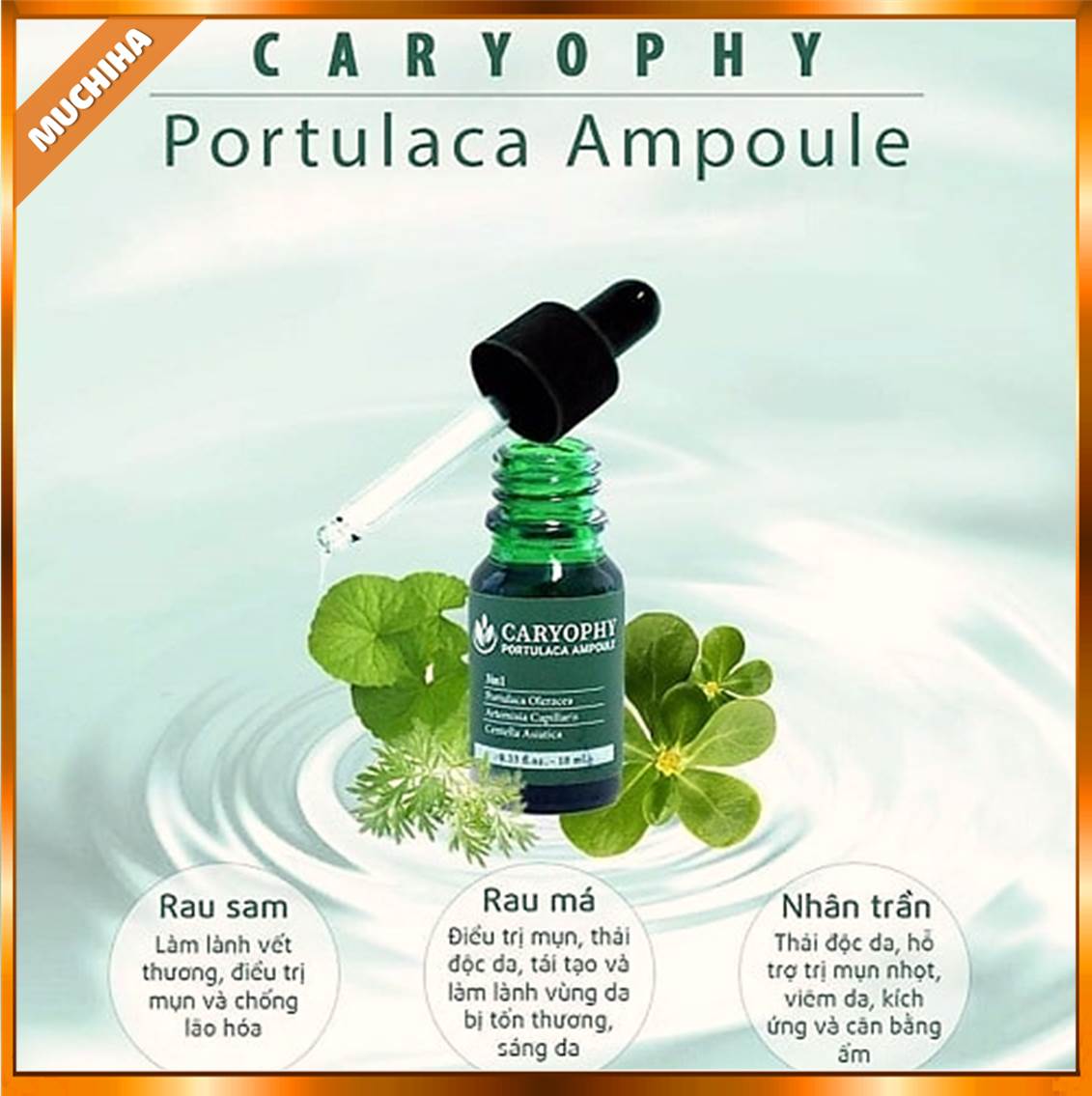 Serum Trị Mụn Caryophy Có Thành Phần Gì?