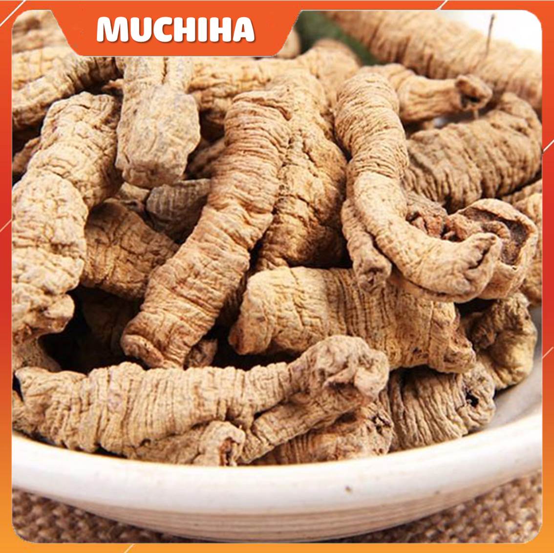 Ba Kích - Thành Phần Chính Của Viên Sủi XtraMan