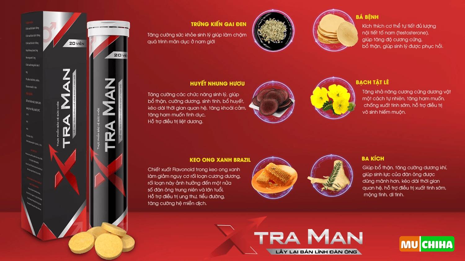 Viên Sủi XtraMan Có Thành Phần Gì?
