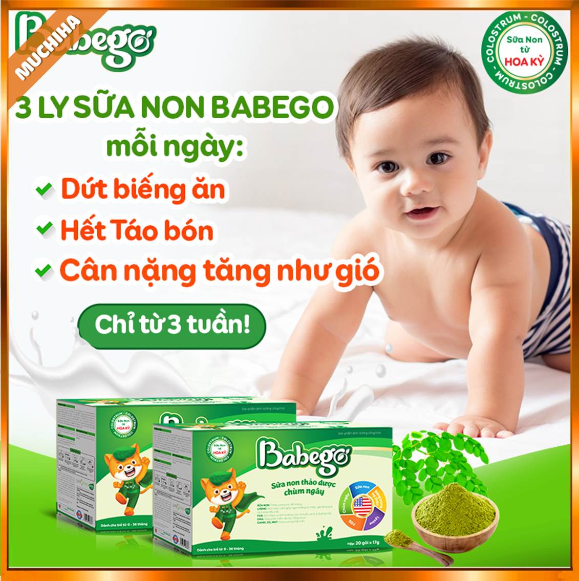 Sữa Non Babego Chính Hãng, Thảo Dược Chùm Ngây Sữa Non 100% Nhập Khẩu Từ Hoa Kỳ 13 Công Dụng Sữa Non Babego Hoa Kỳ